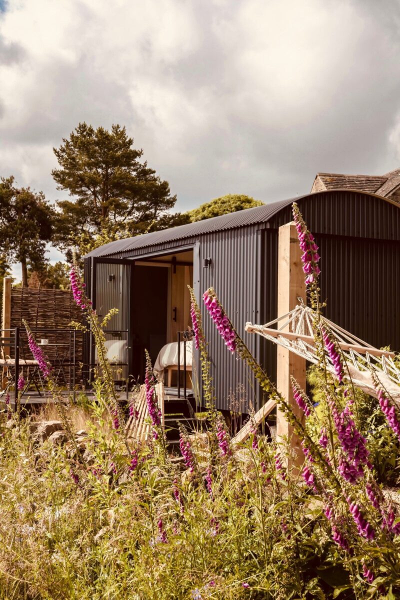 The Cabin through foxgloves with hammock in garden at Beech Farm, Peak District