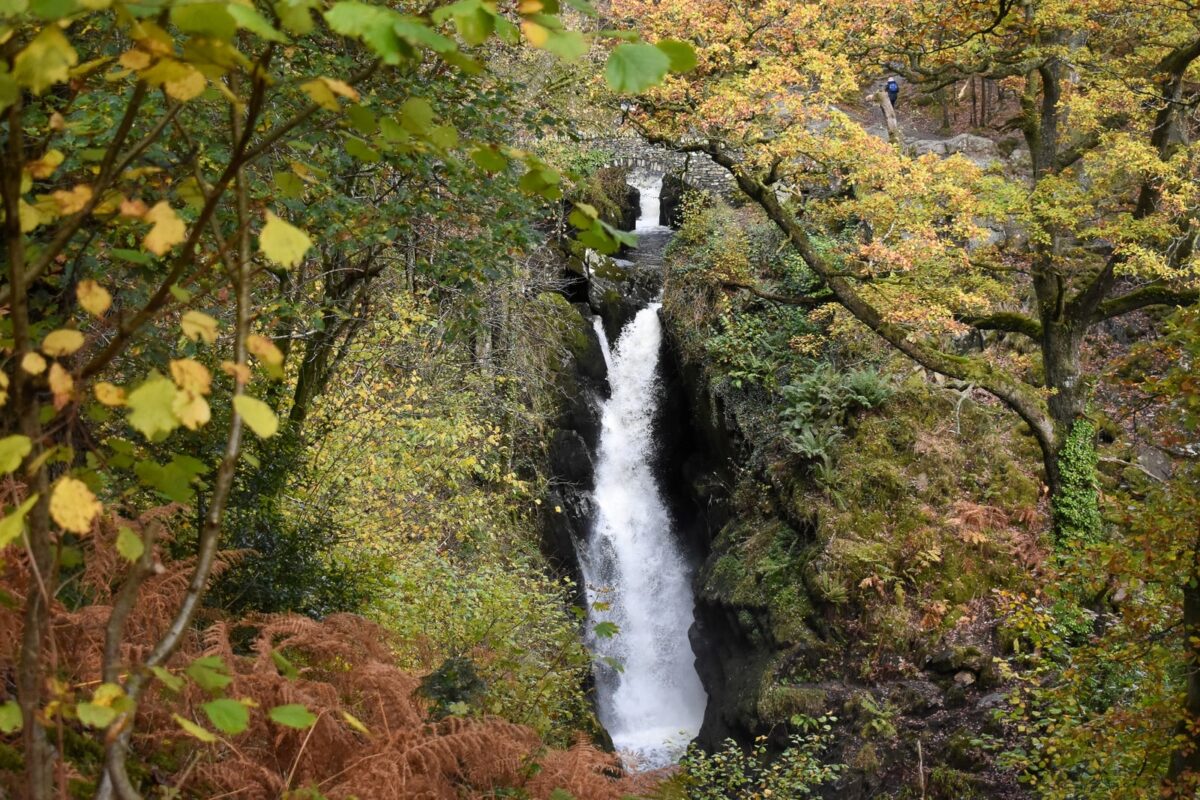 Aira Force and Gowbarrow Fell
