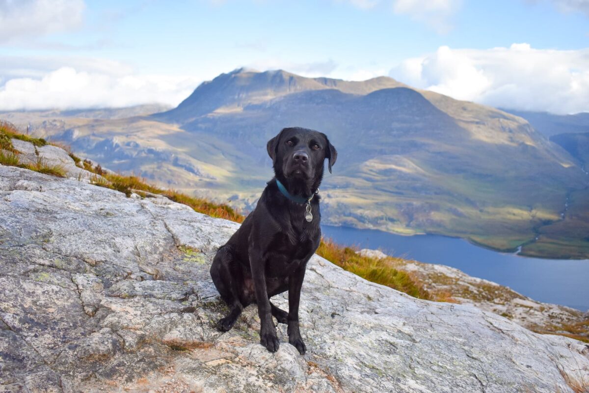 Beinn Eighe National Nature Reserve