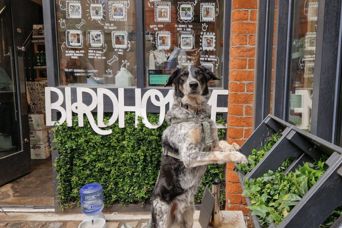Birdhouse Tea Bar & Kitchen