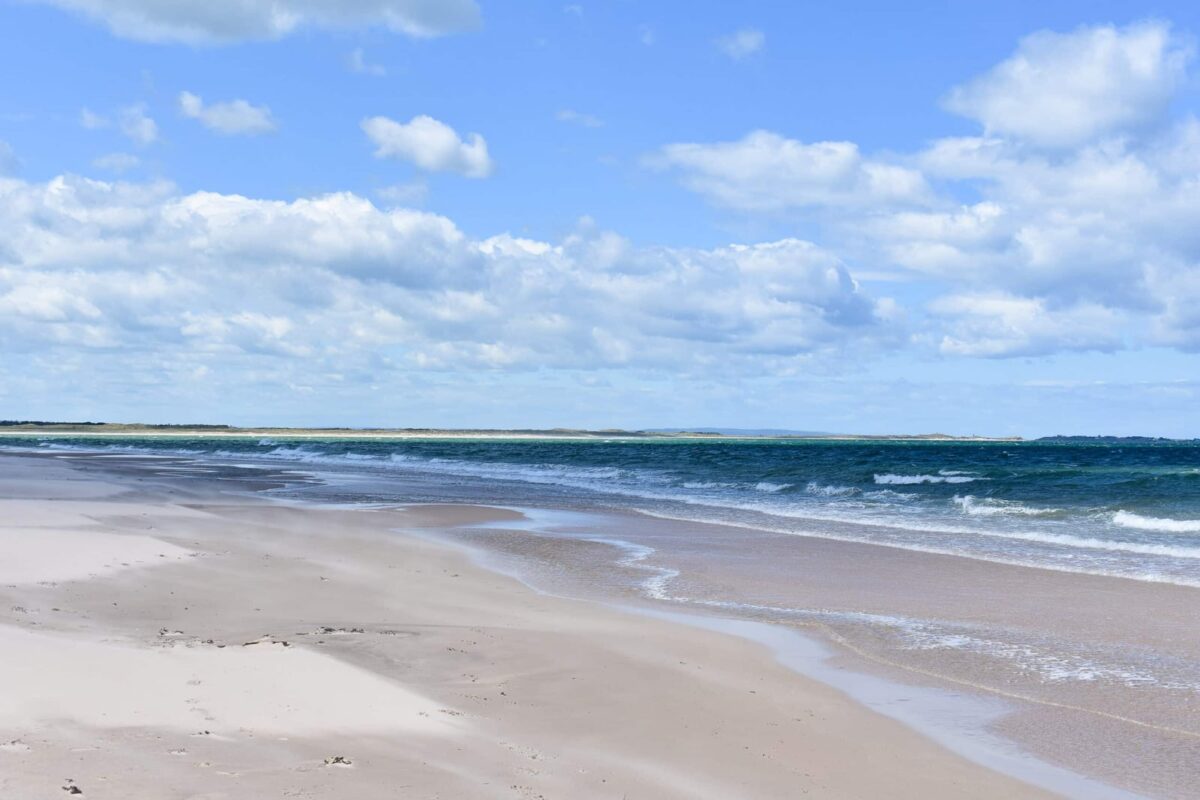 Budle Bay