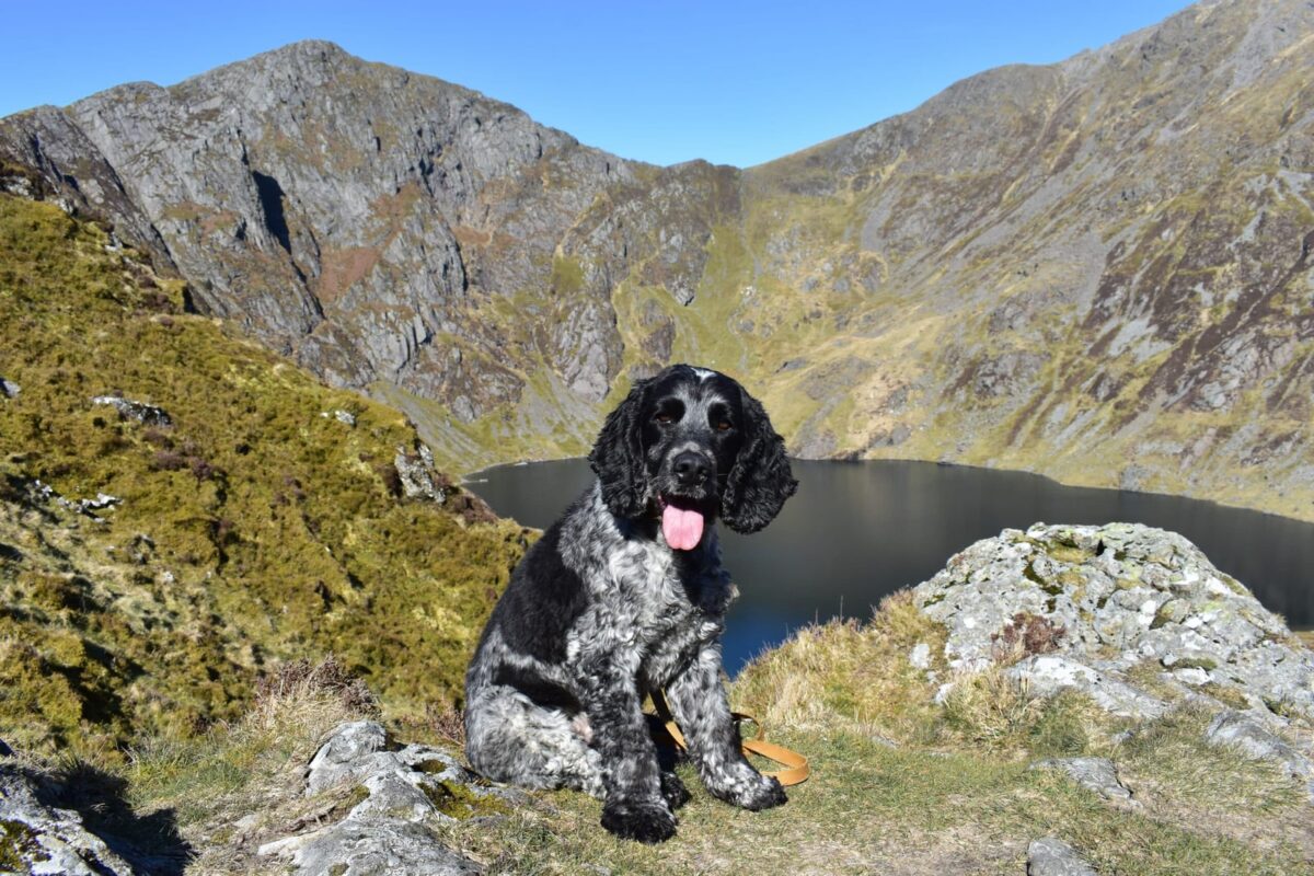Cadair Idris Snowdonia