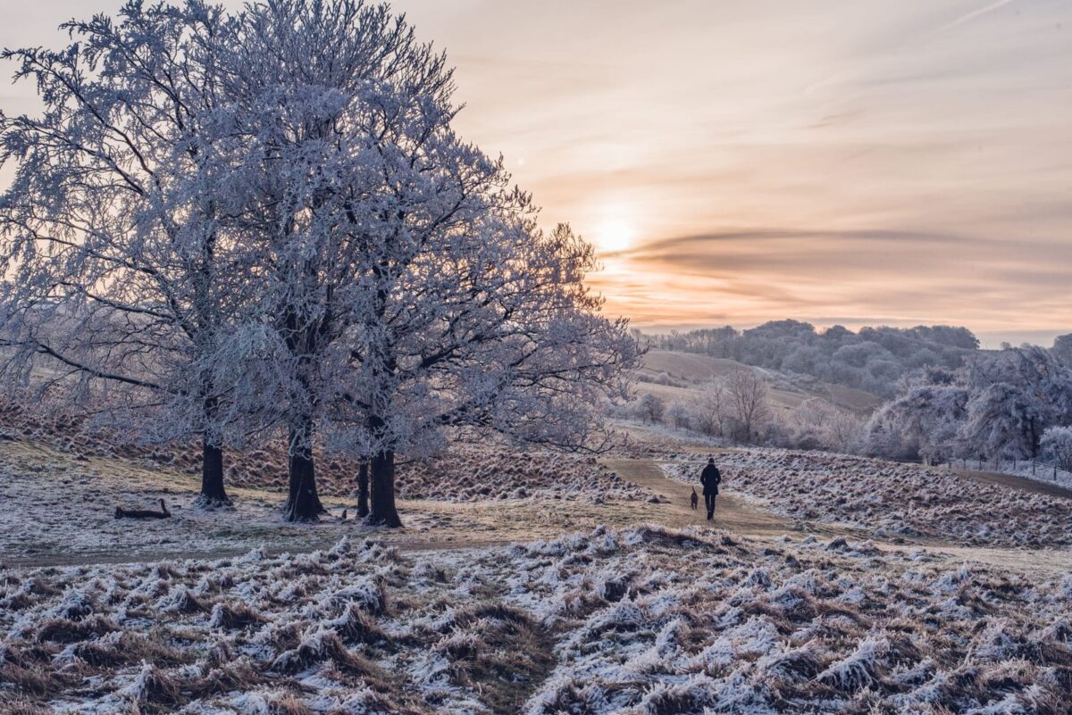 Cleeve Common