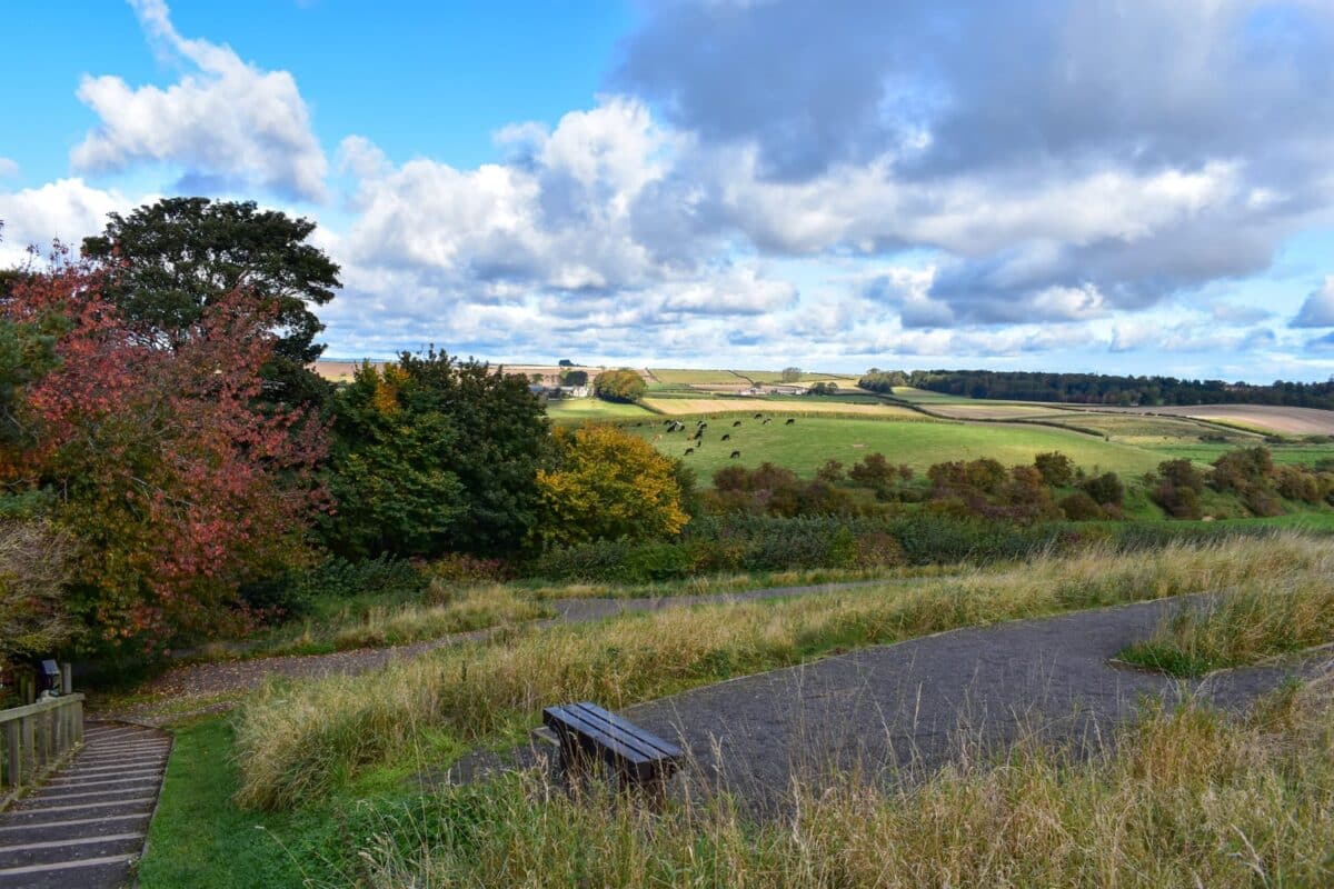 dog friendly Northumberland