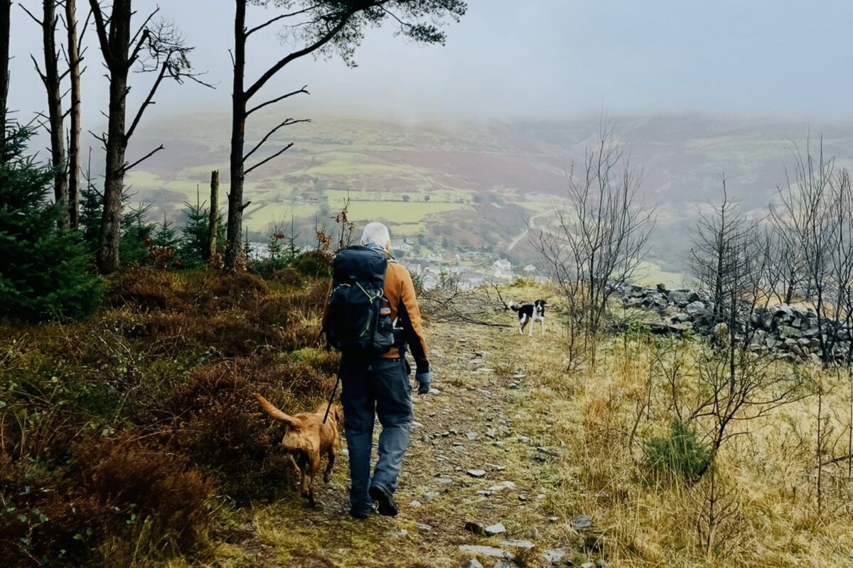 Garw Valley, dog walks in South Wales