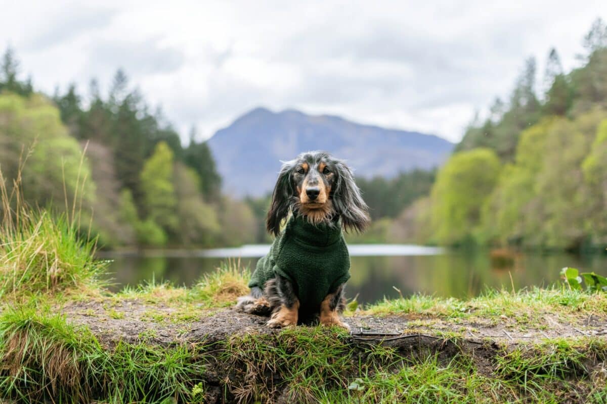 Glencoe Lochan