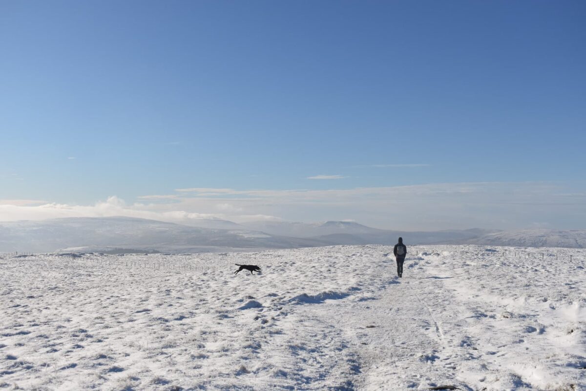Great Shunner Fell, Yorkshire Dales