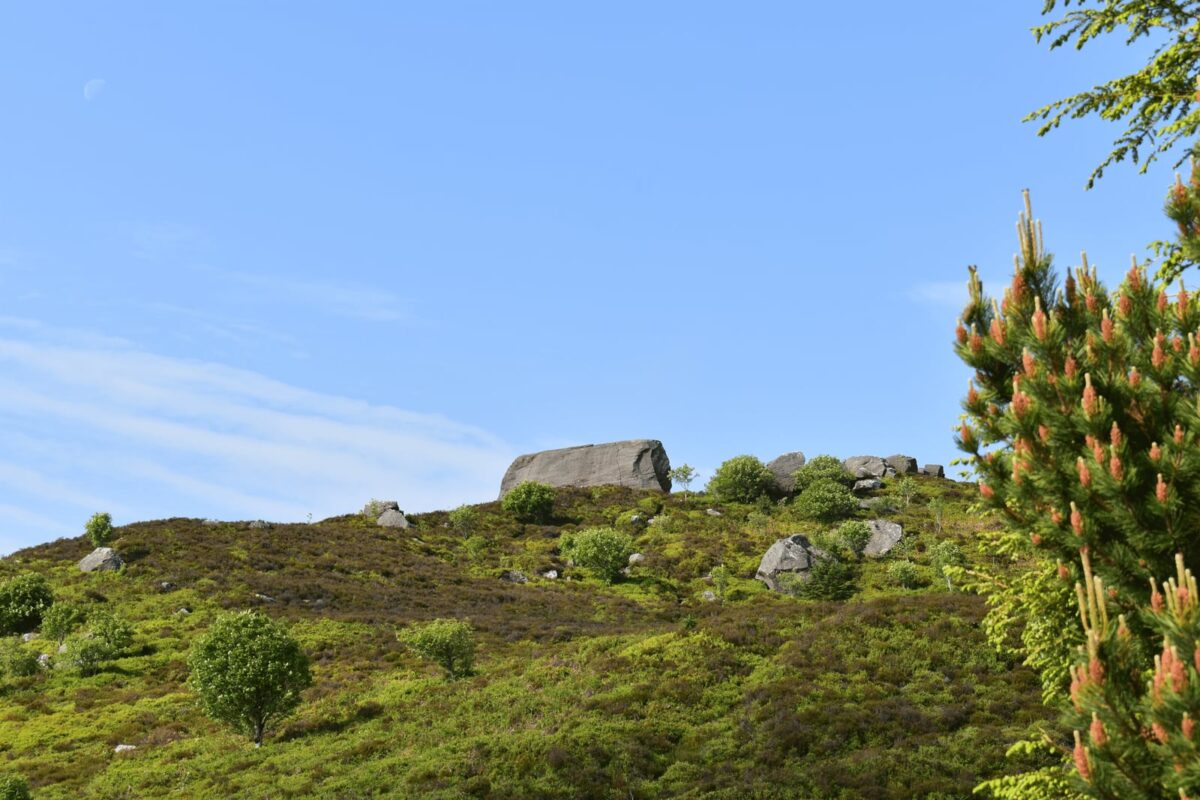 Harbottle and the Drake Stone