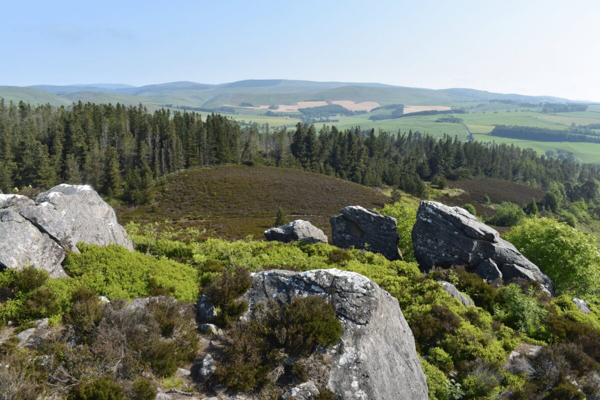 Harbottle and the Drake Stone