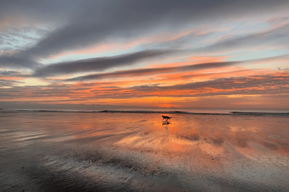 Kenfig National Nature Reserve