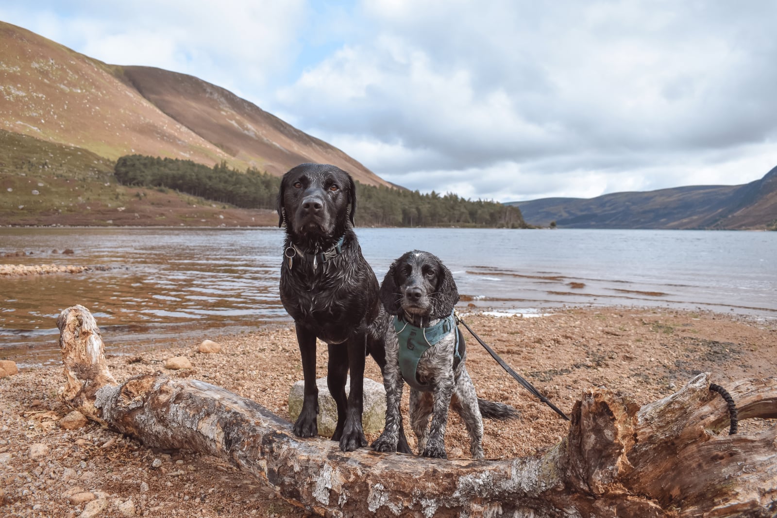 Loch Muick