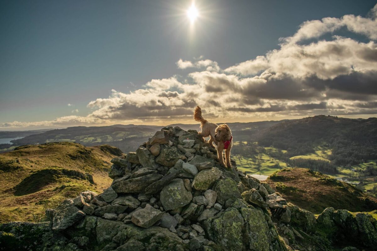 Loughrigg Fell and Rydal Cave