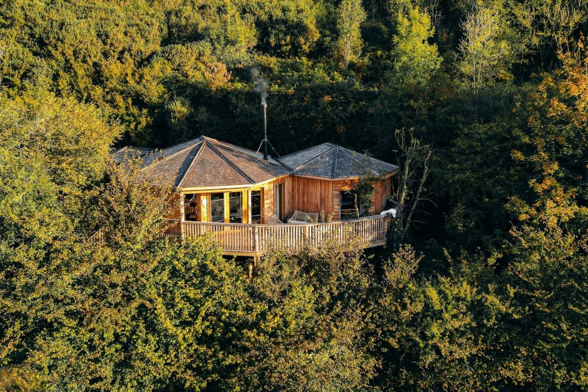 Nest Treehouse at Sleepy Owl