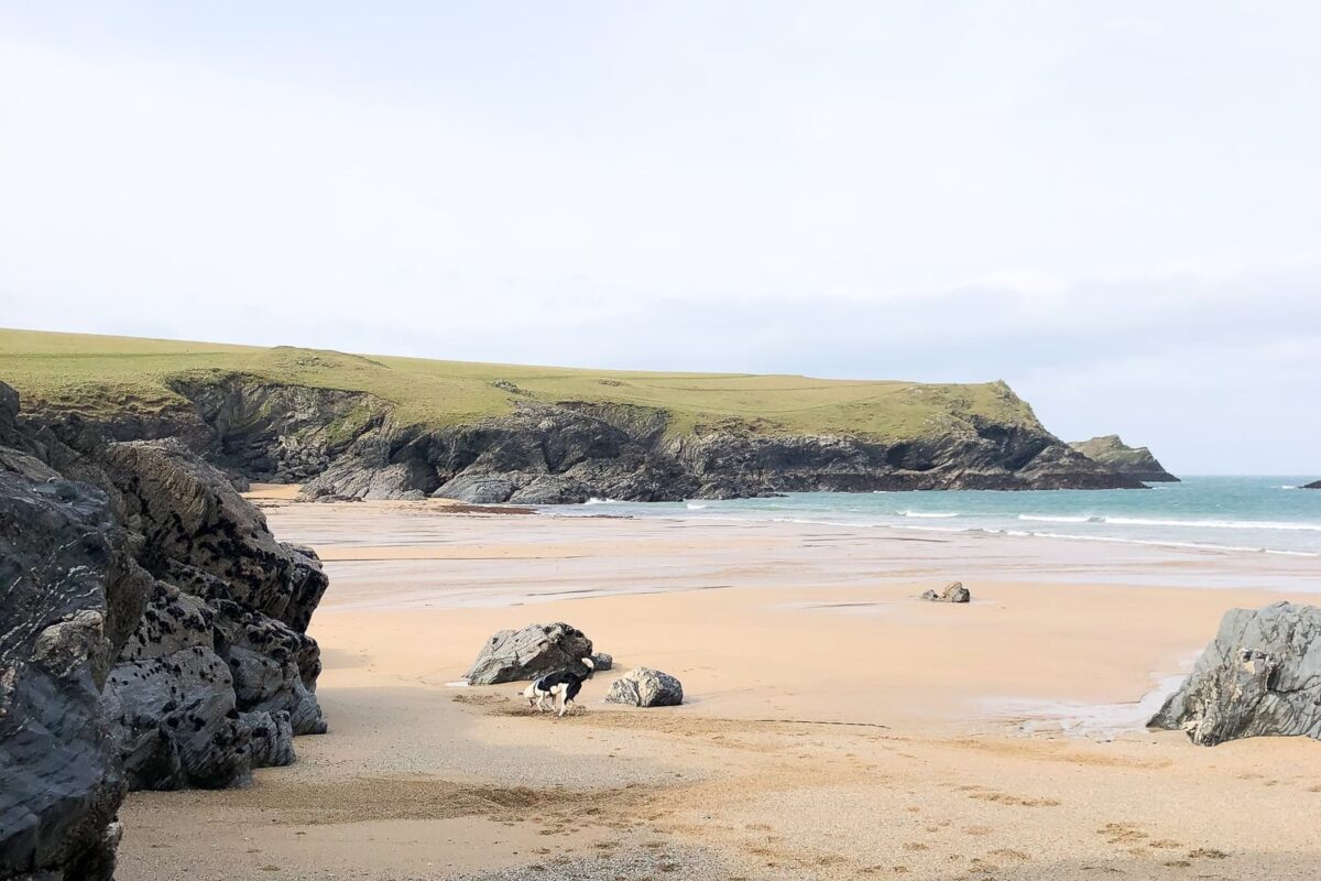 Polly Joke Beach West Pentire