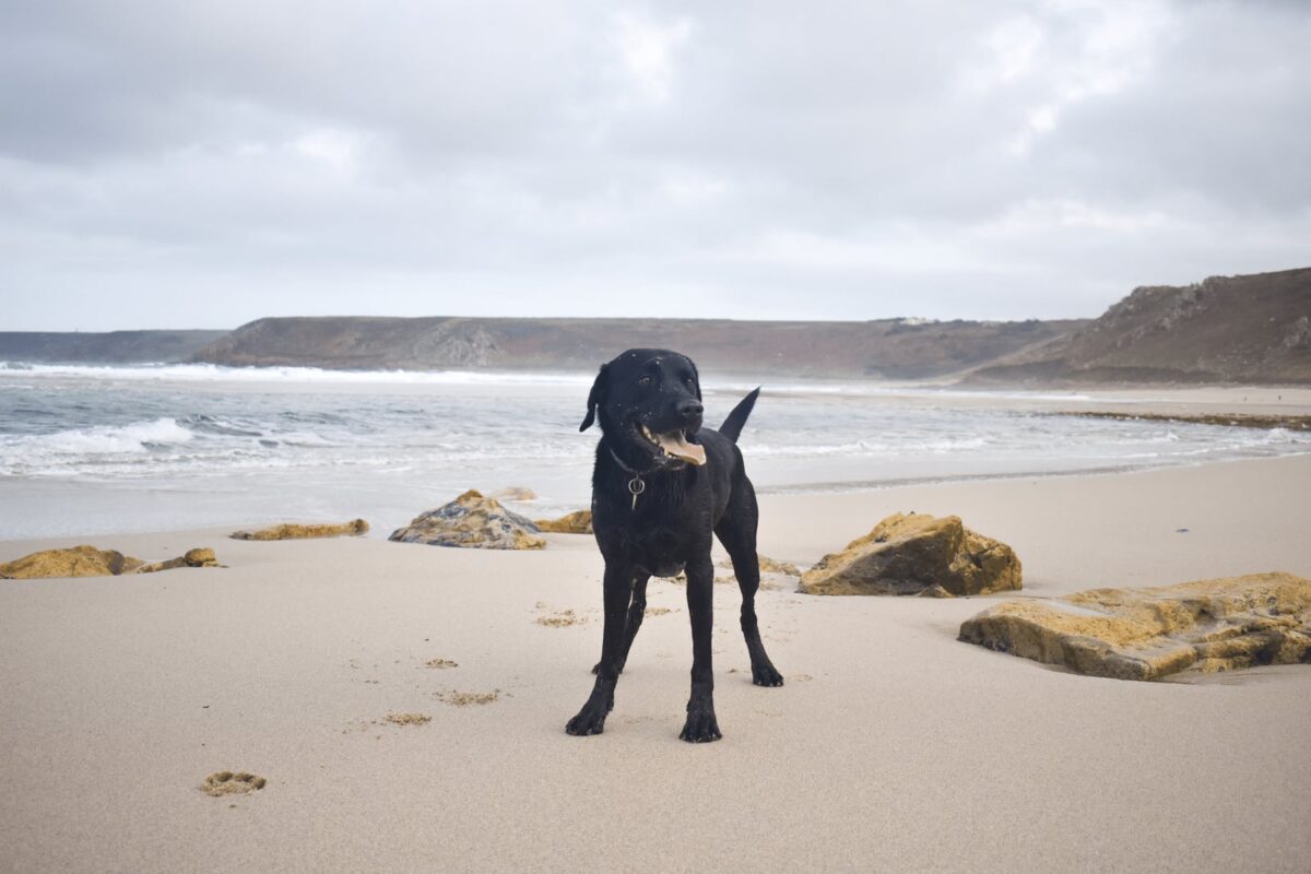 Sennen Cove
