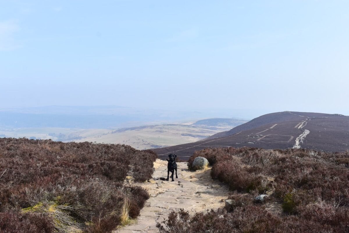 Simonside Hills