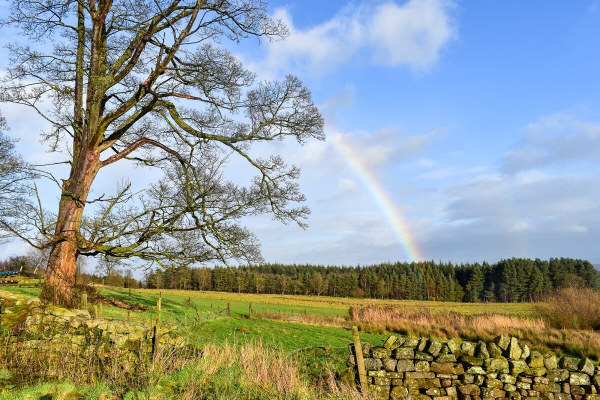 Swinton Estate