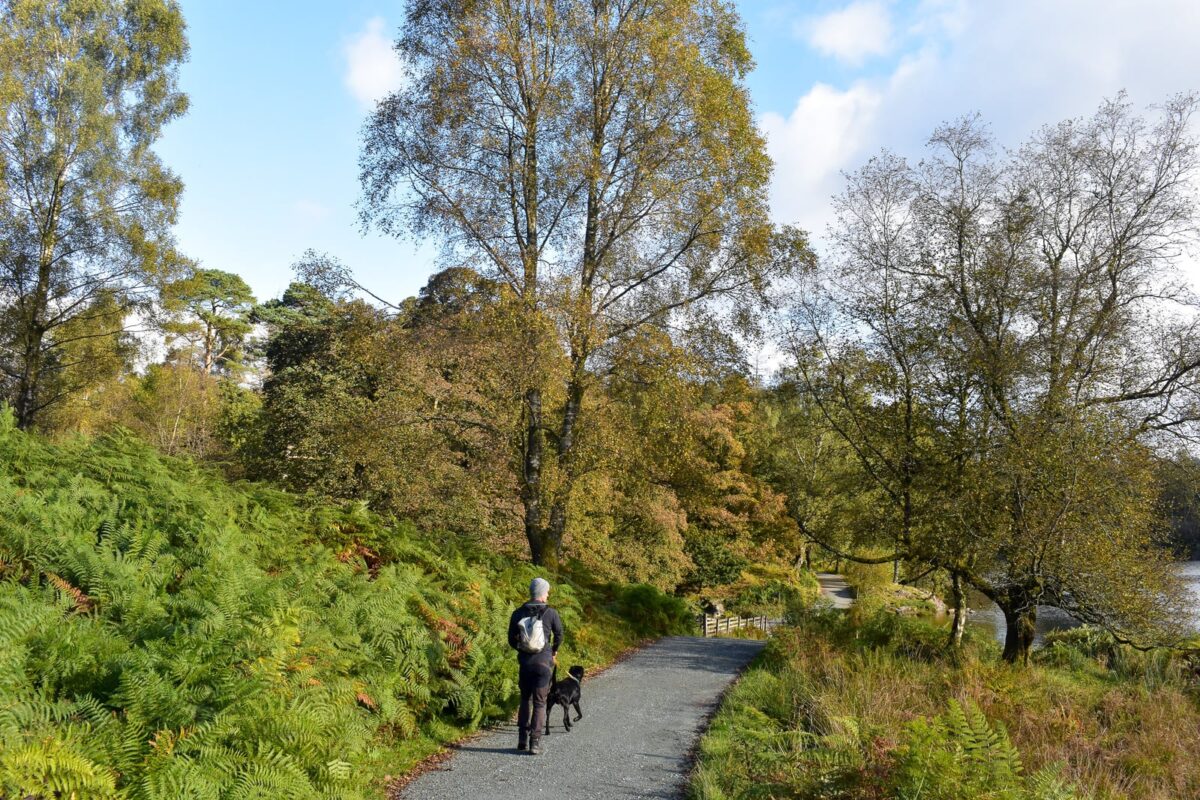 Tarn Hows Lake District