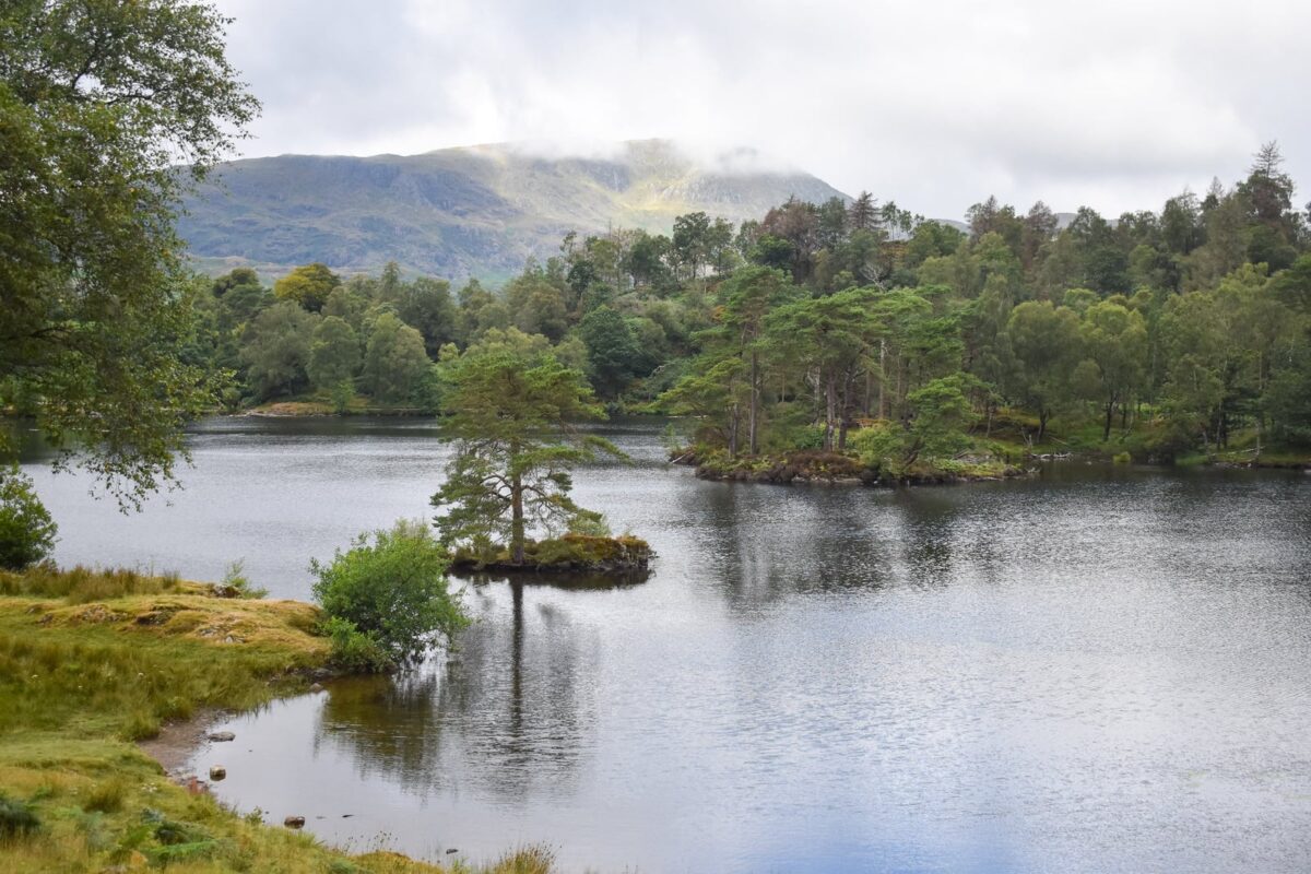 Tarn Hows Lake District