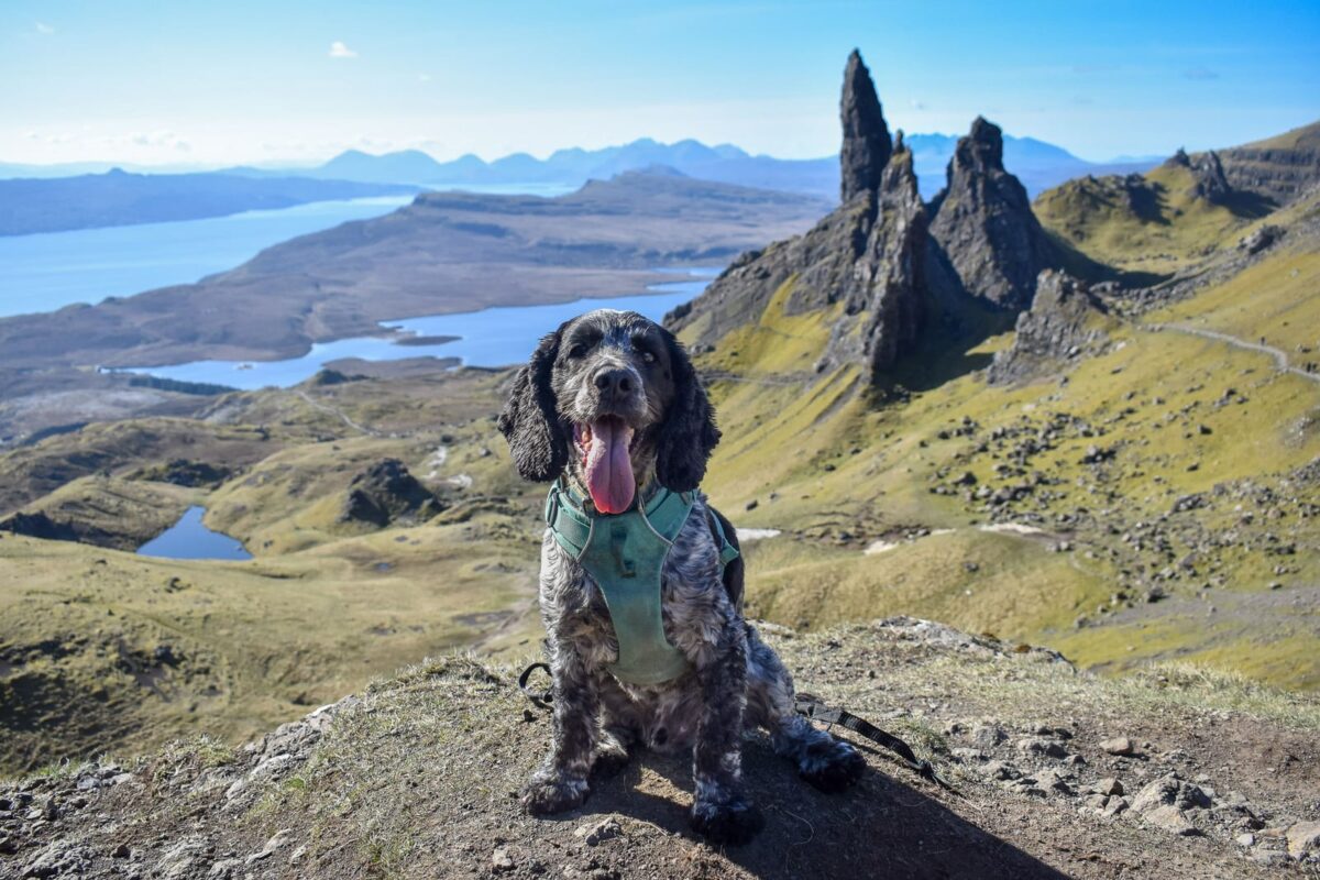 The Storr Isle of Skye