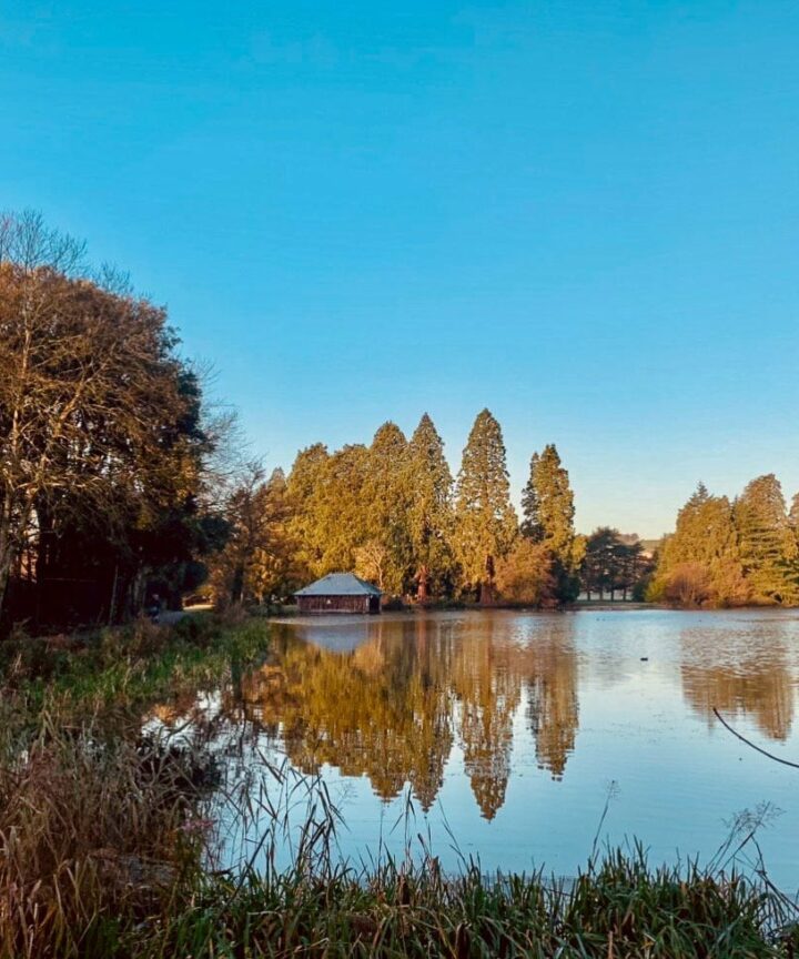 Tredegar House & Park