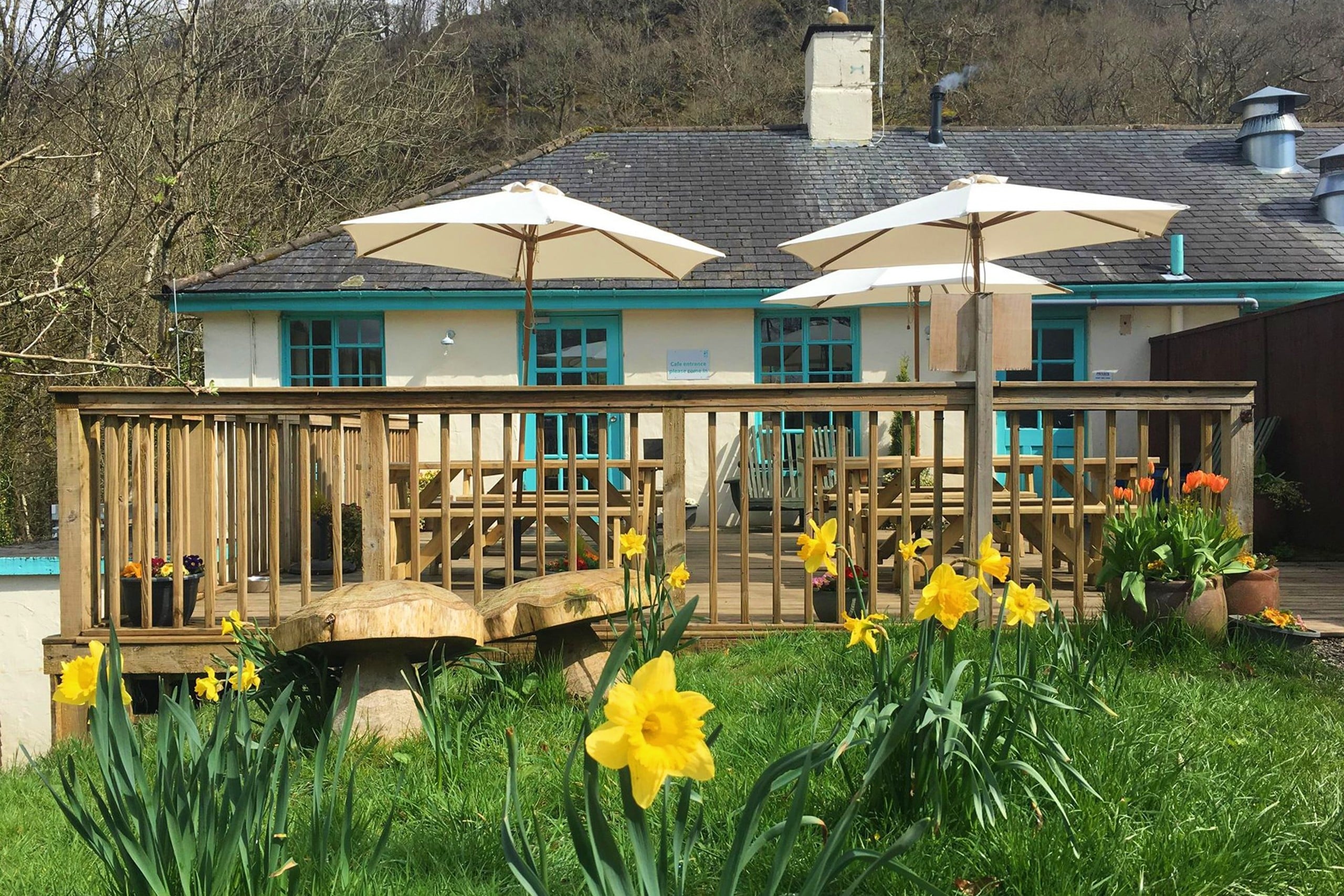 Dog friendly coffee shops North Wales Dog Friendly Destinations