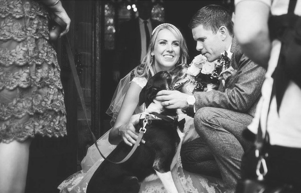 dogs at weddings
