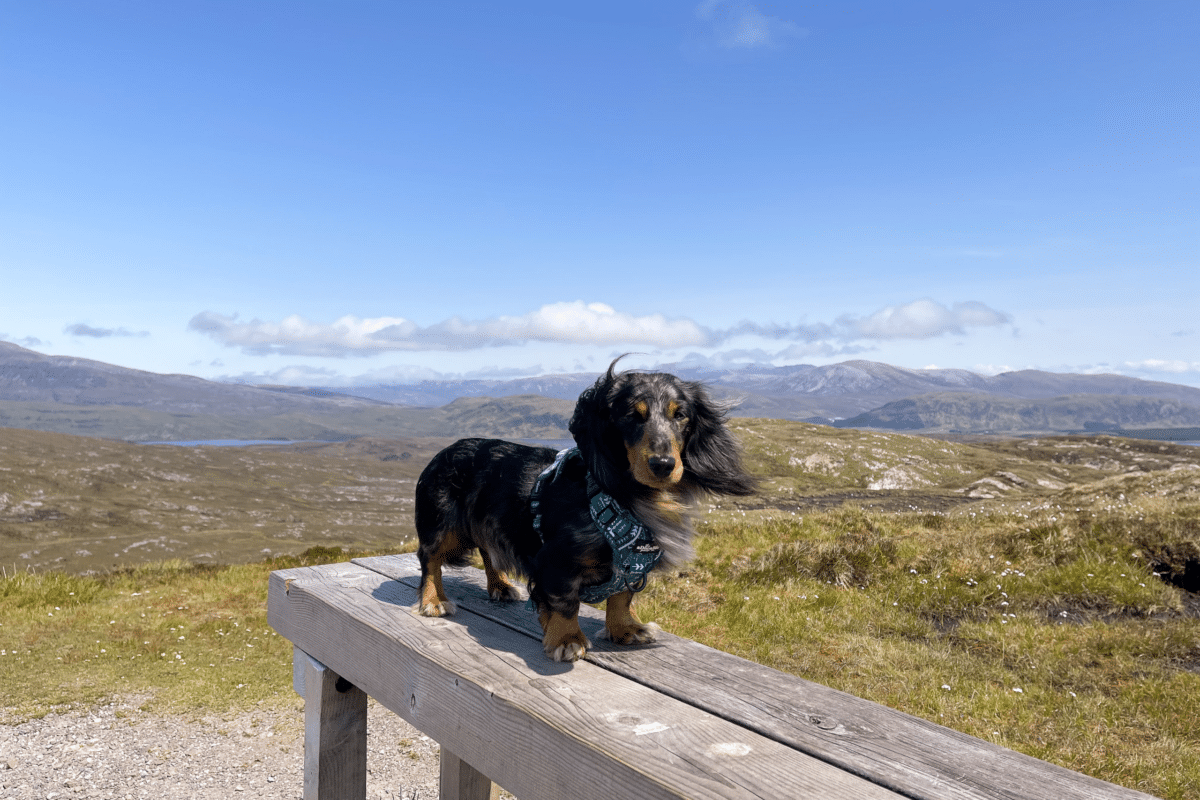 Knockan Crag National Nature Reserve