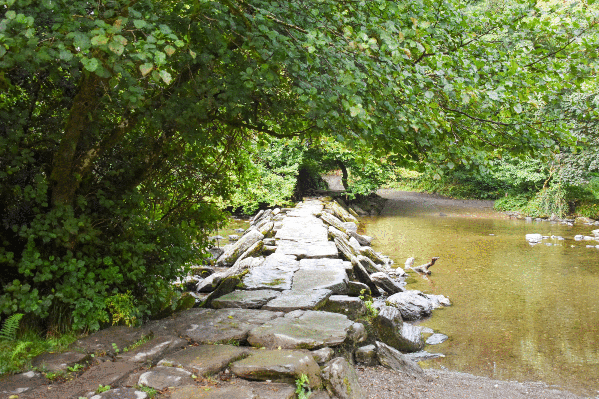 A view along the ancient Tarr Steps clapper bridge crossing the River Barle in Exmoor National Park, surrounded by dense green woodland.