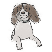 The best place to holiday with a dog