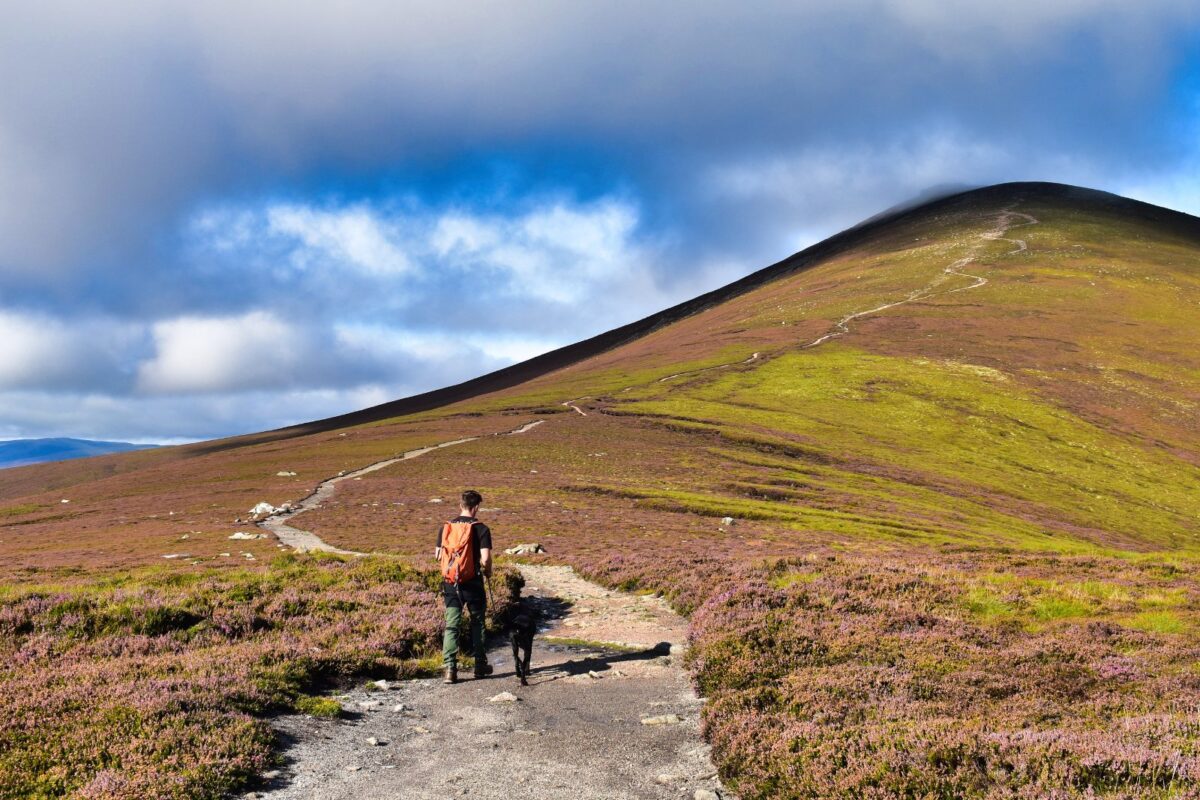Walker and black dog on the hill path up Ben Rinnes with the final steeper section ahead, Moray