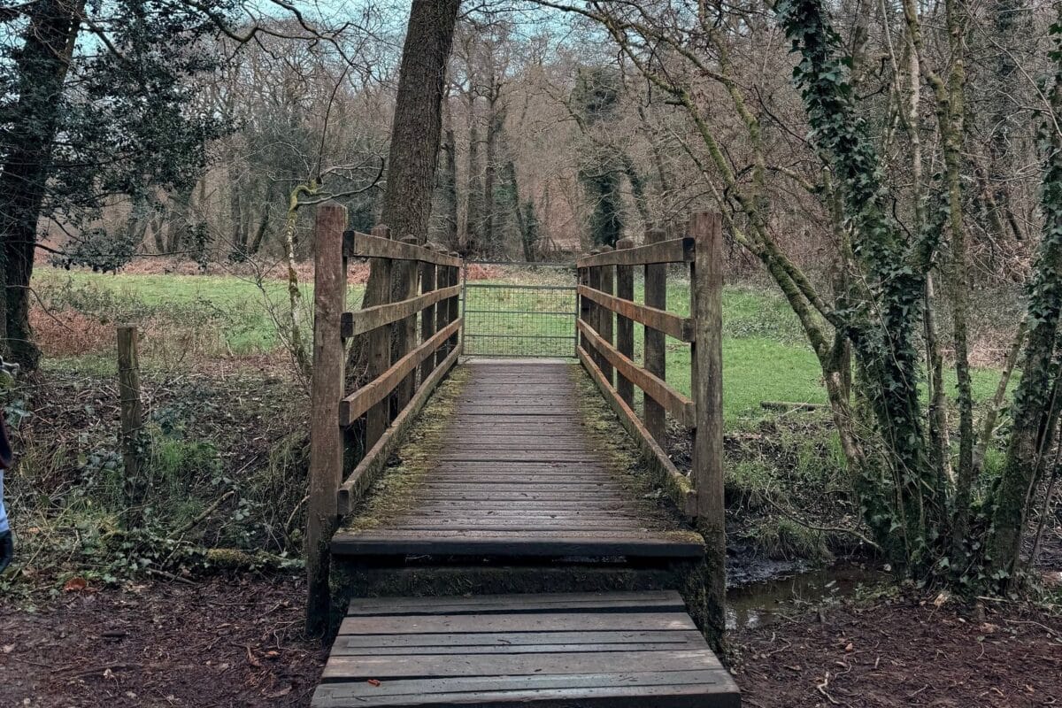 Wooden footbridge over the River Garw at Bryngarw Country Park, Bridgend, South Wales