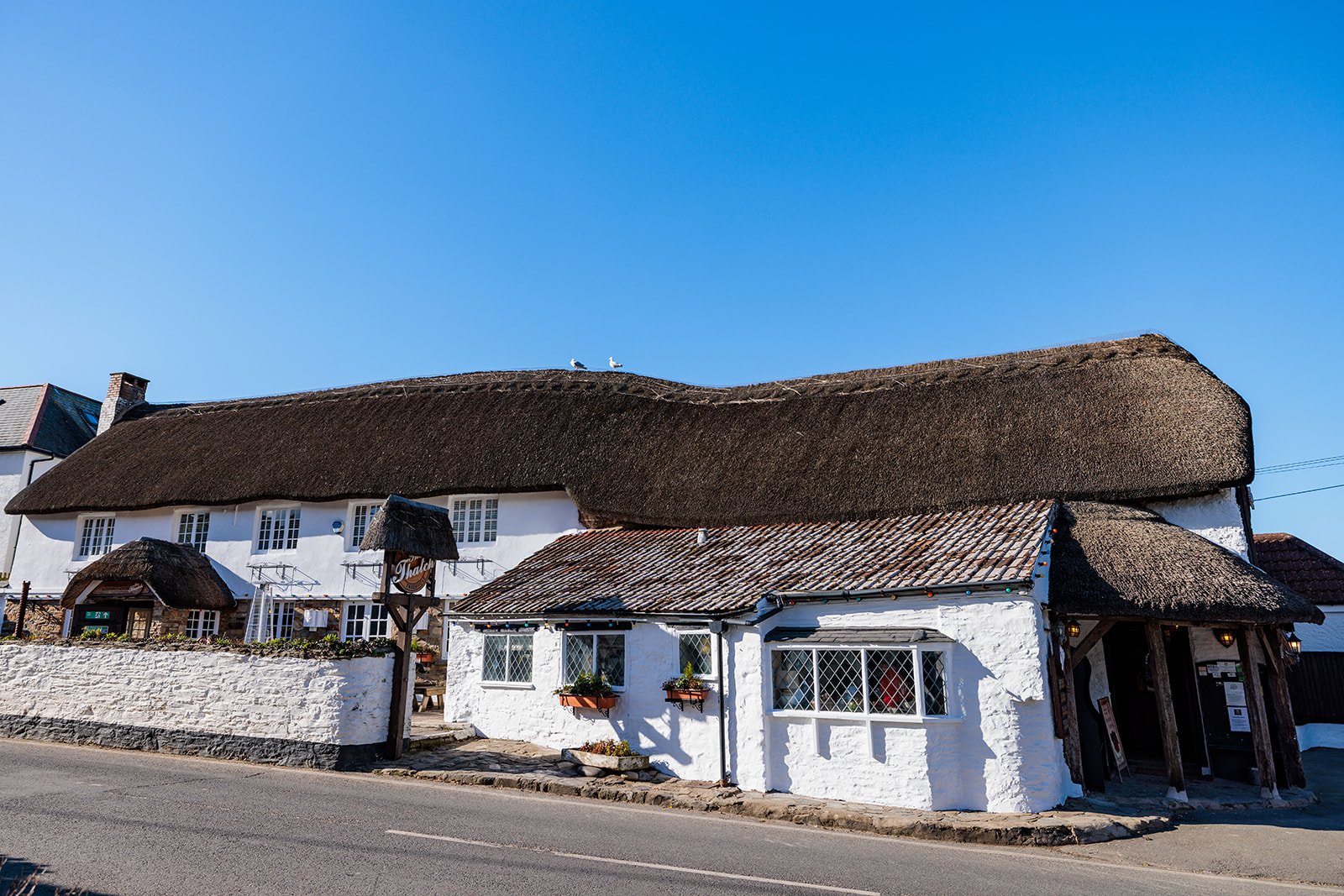 The Thatch, a dog-friendly pub with a traditional thatched roof in the centre of Croyde, North Devon