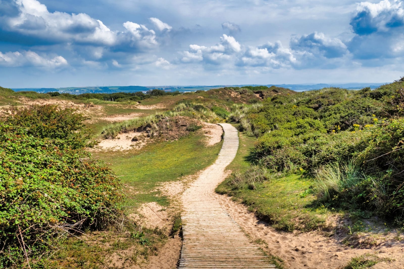 A boardwalk path through the sand dunes at Braunton Burrows near Crow Point, North Devon