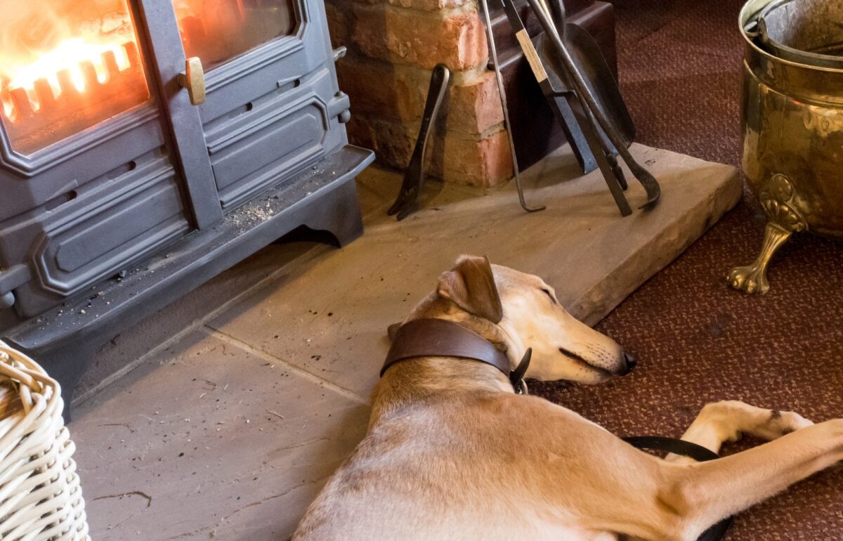 Dog sleeping by a wood burner in a dog-friendly Lake District pub