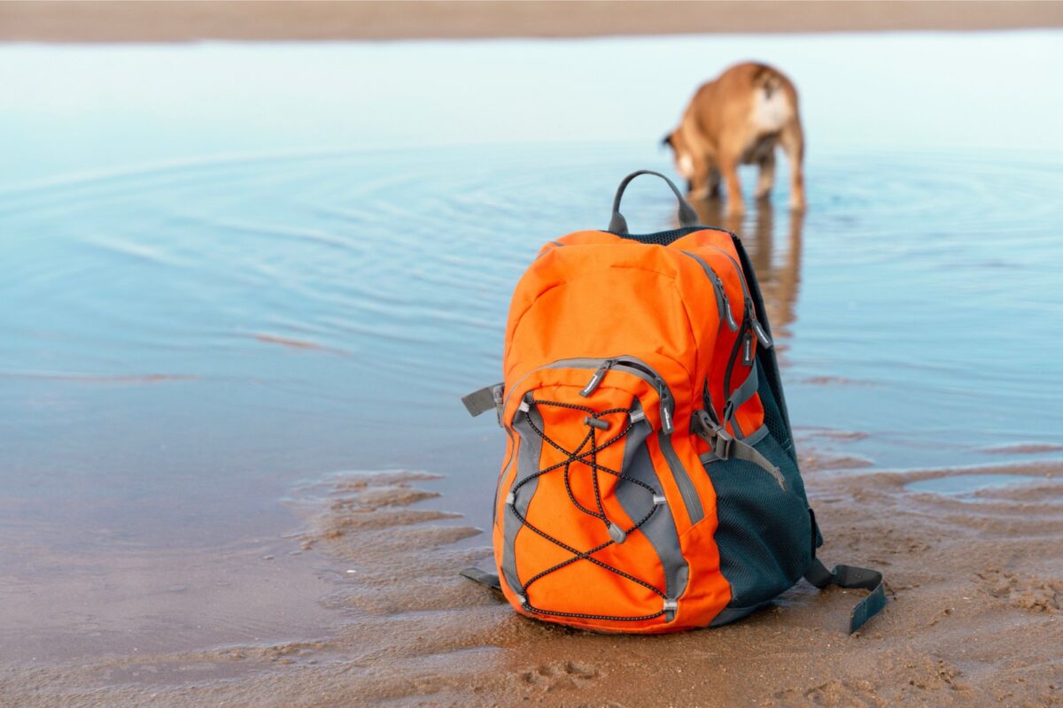 A hiking backpack on a sandy beach with a dog paddling in the shallows behind