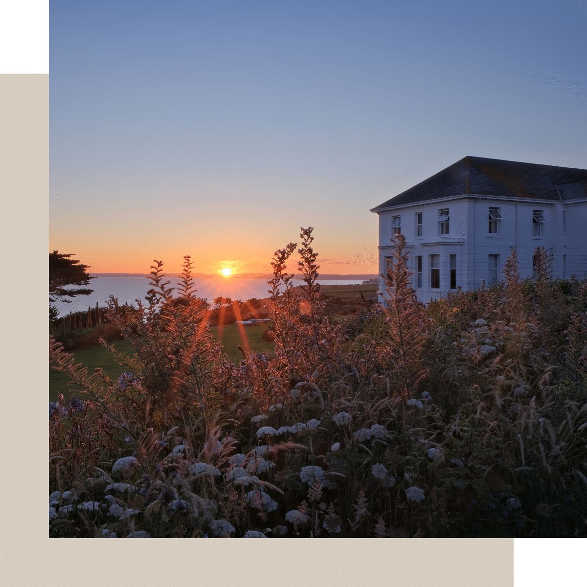 Coastal house at Polurrian on the Lizard at sunset with wildflowers in the foreground