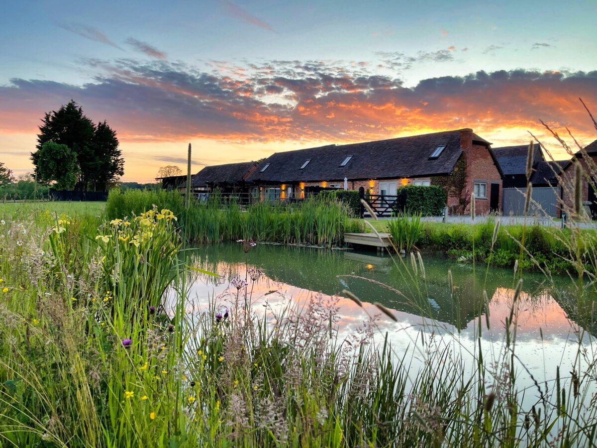 Mount Pleasant Barns at sunset from the wildflower pond, Walton, Warwickshire