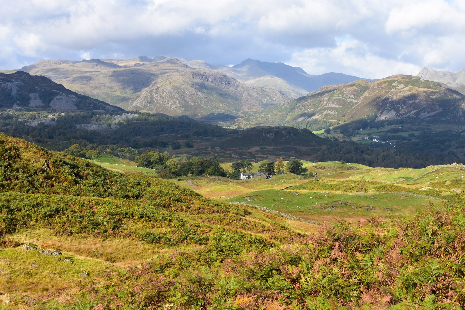 Green hills and mountain scenery under sunshine at Tarn Hows in the Lake District.